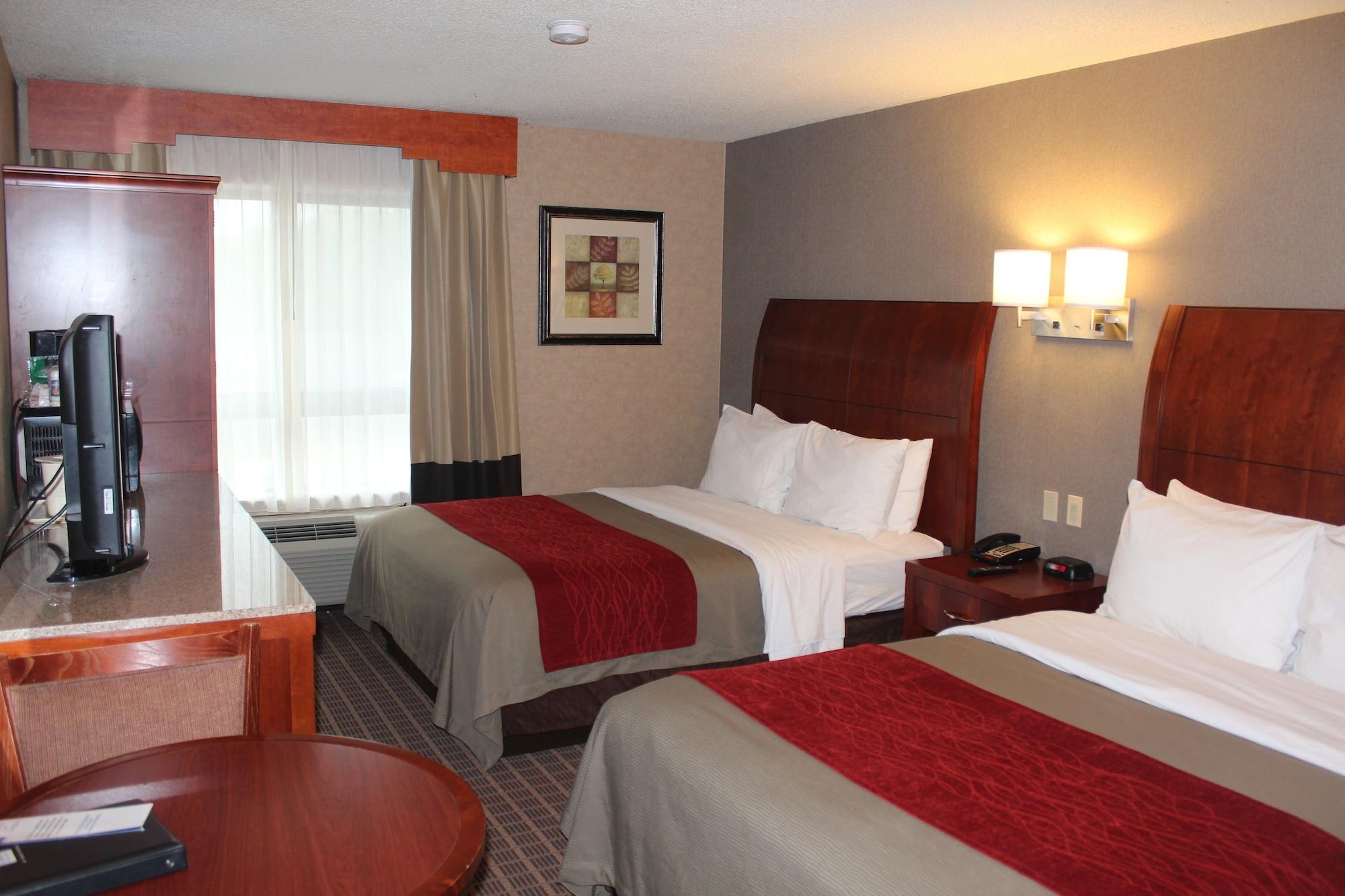 Comfort & Hotel West Springfield