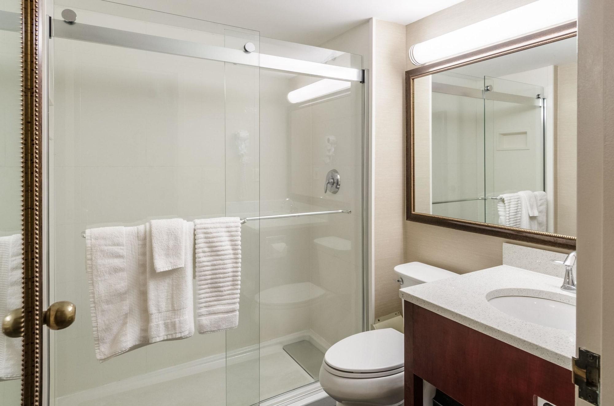 Hotel Comfort & 3*