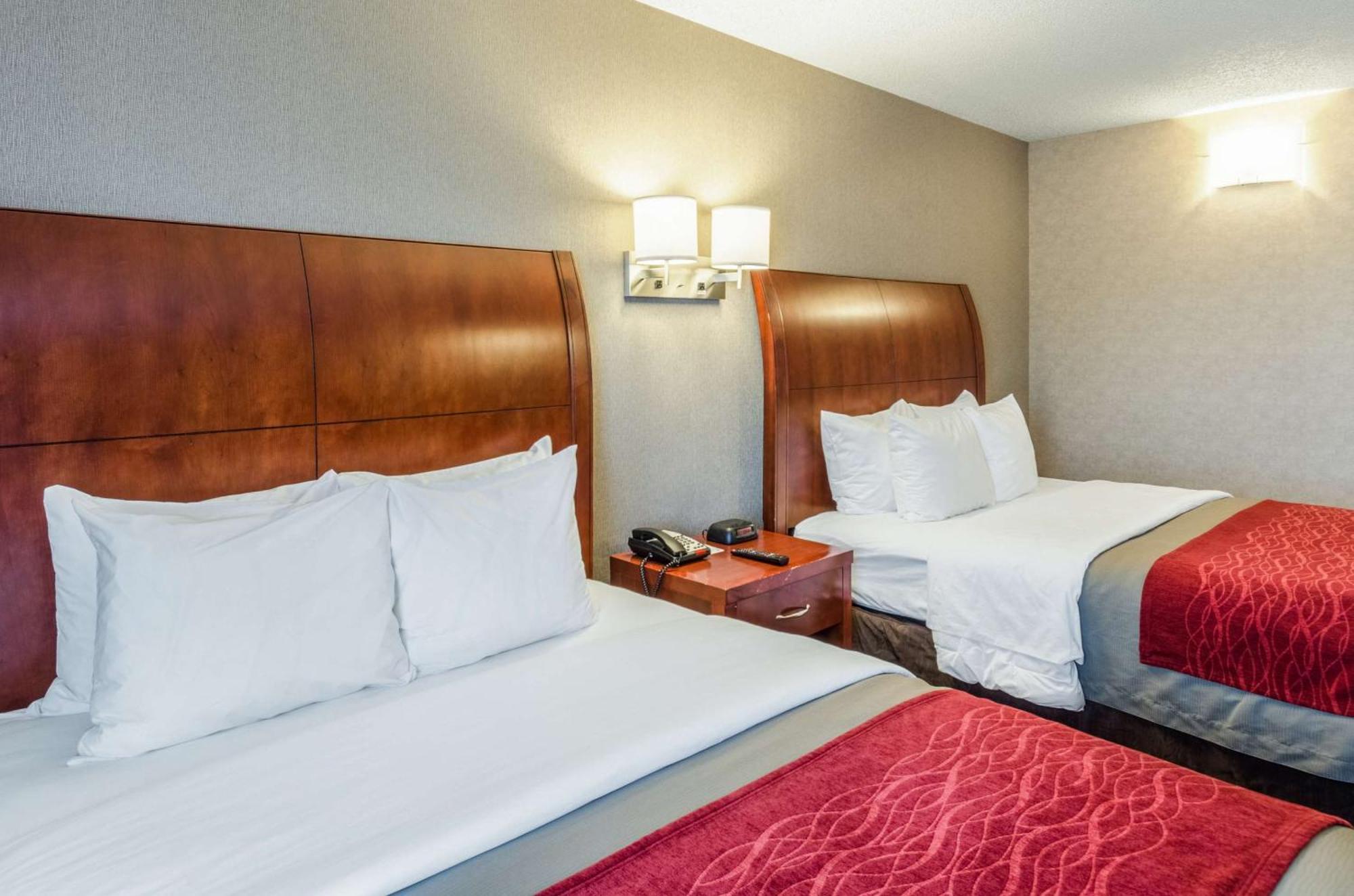 Hotel Comfort &