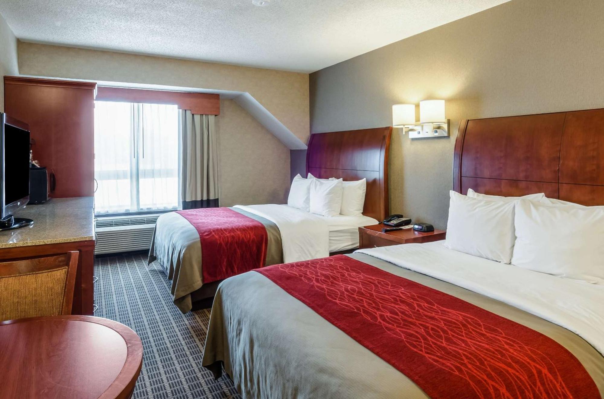 Comfort & Hotel 3*
