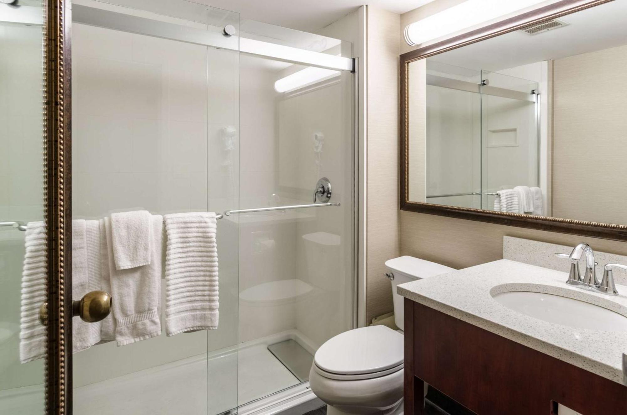Comfort & Hotel