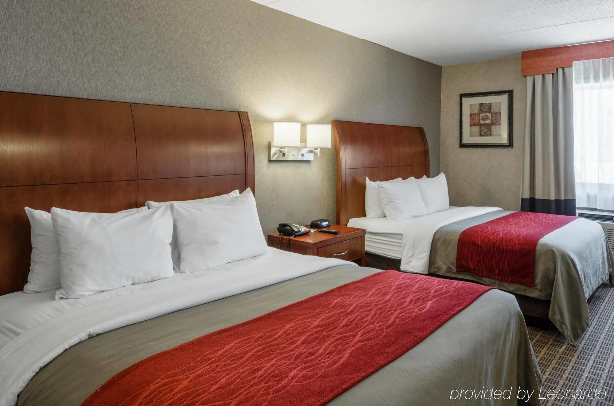 Comfort & 3* West Springfield